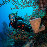 Aqualung Pro HD Compact - Clearance Sale