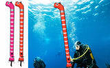 Splendid Garden Eel Surface Marker Buoy