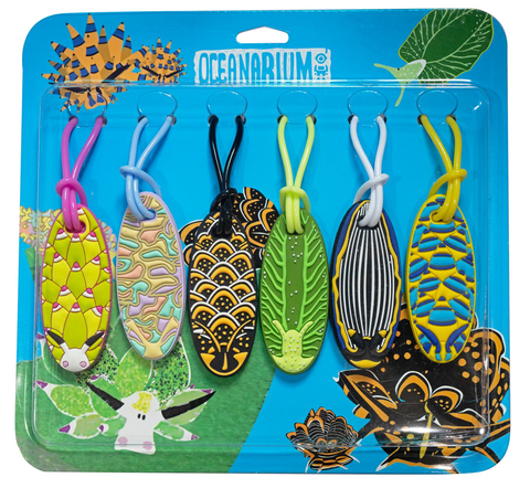 Oceanarium Nudibranch Equipment Tags