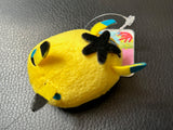 Nudibranch Magnet