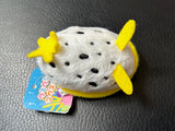 Nudibranch Magnet
