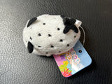 Nudibranch Magnet