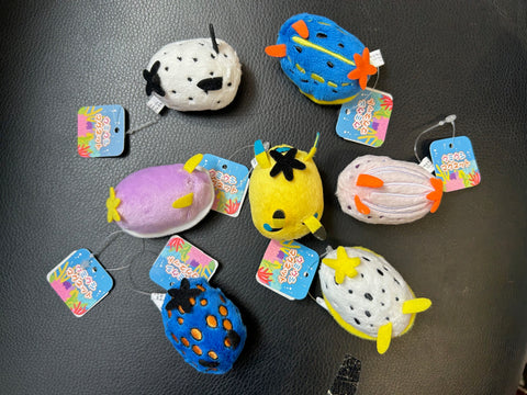 Nudibranch Magnet