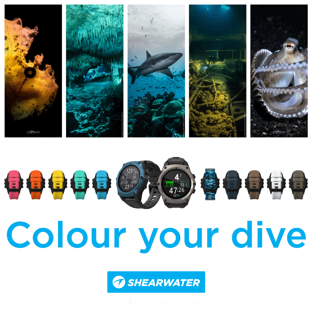 Shearwater Teric Straps / Dive Manchester