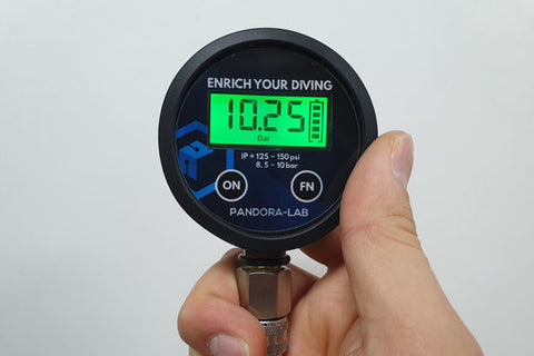 Pandora IP Gauge